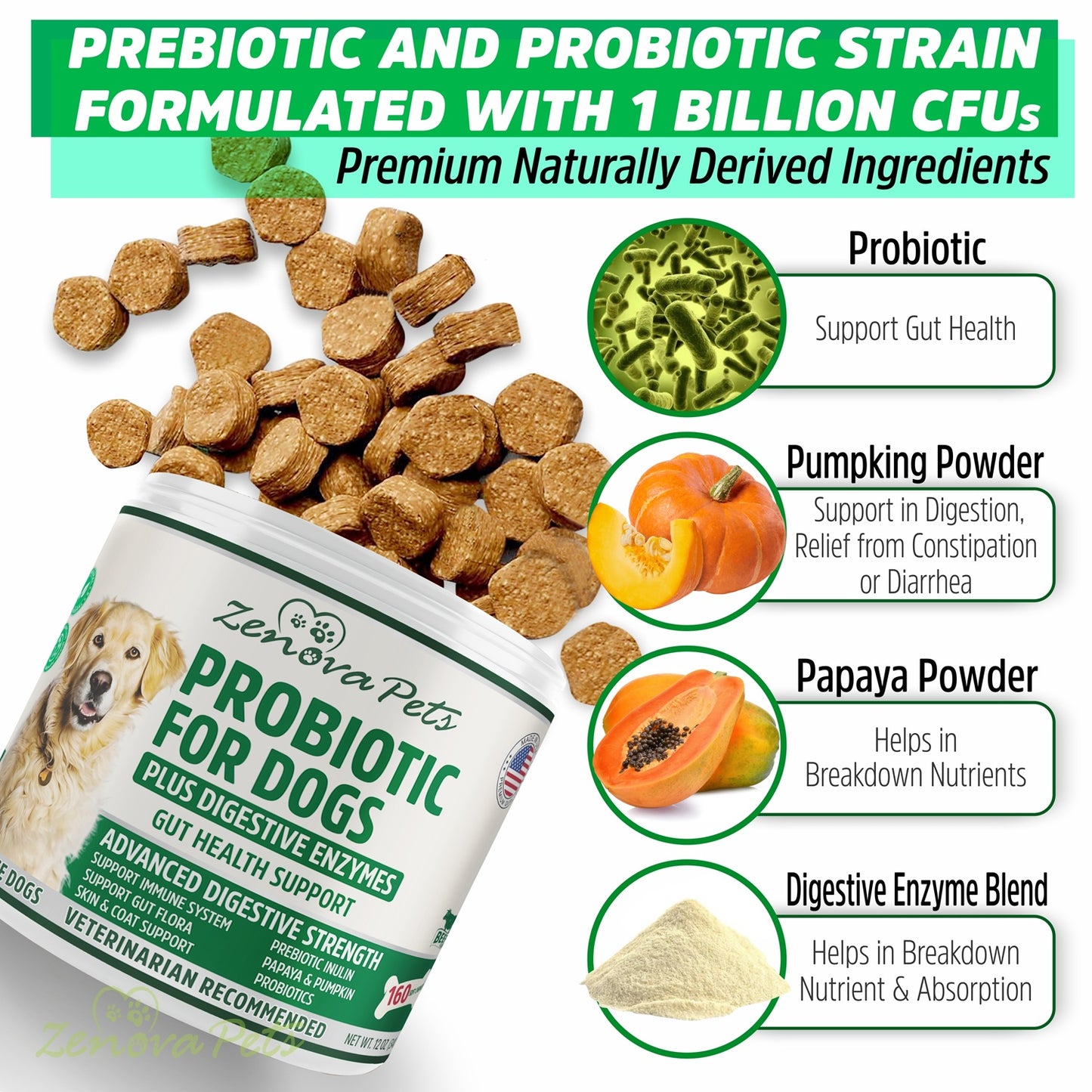 Dog Gut Health Probiotics With Digestive Enzymes USA MADE - 160 Chews Natural Digestive Care for Dog