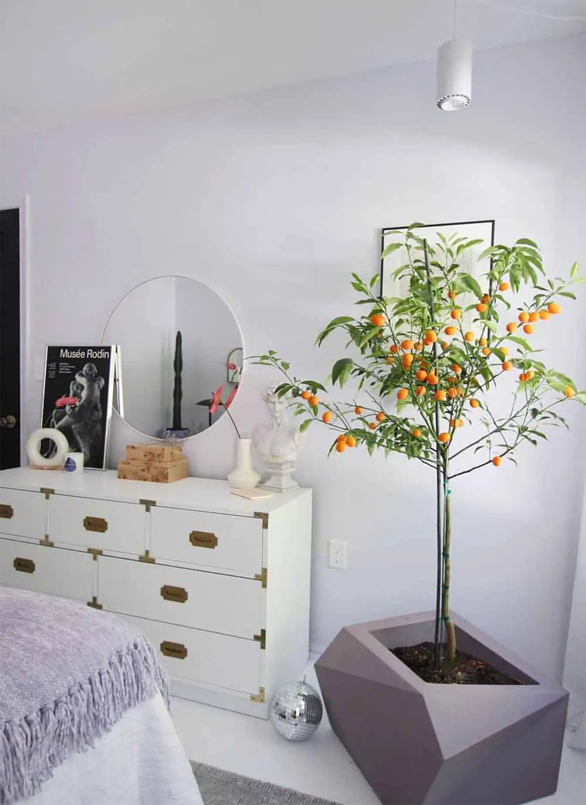 Aspect™ LED Growlight-1