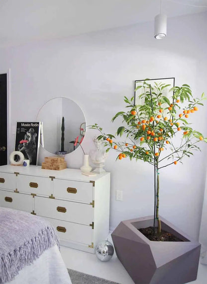Aspect™ LED Growlight-1