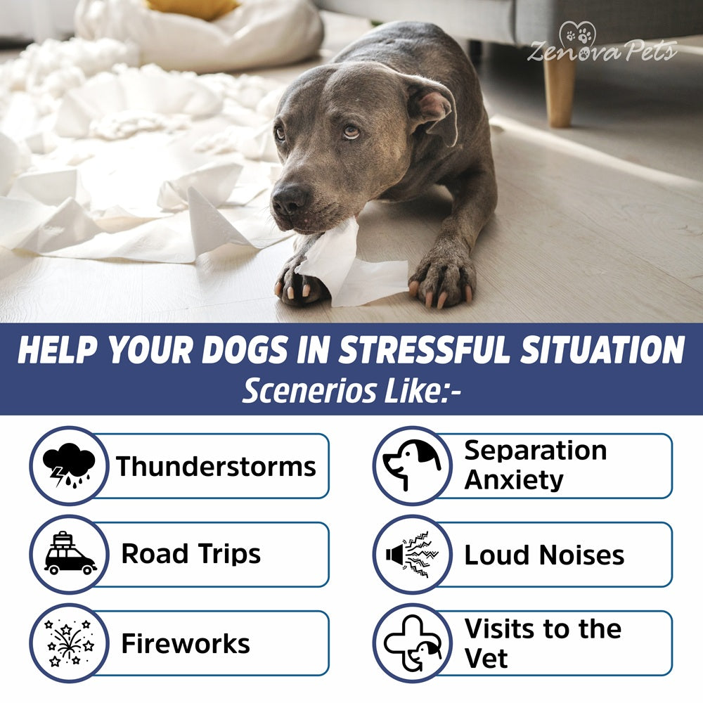 Hemp Calming Chews For Dogs With Melatonin & Hemp Oil (160 Chews) USA MADE Stress & Anxiety Relief Chews fro Dogs