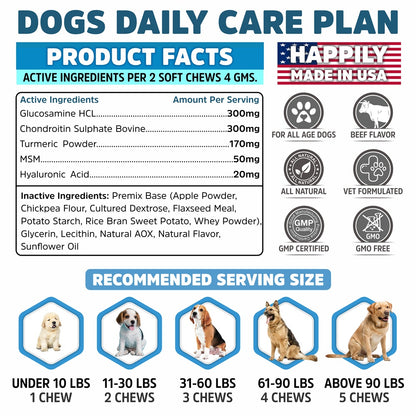 Hip & Joint Supplement for Dogs USA Made 160 Chews - Glucosamine & Chondroitin Promotes Mobility, Sooth Pain Relief