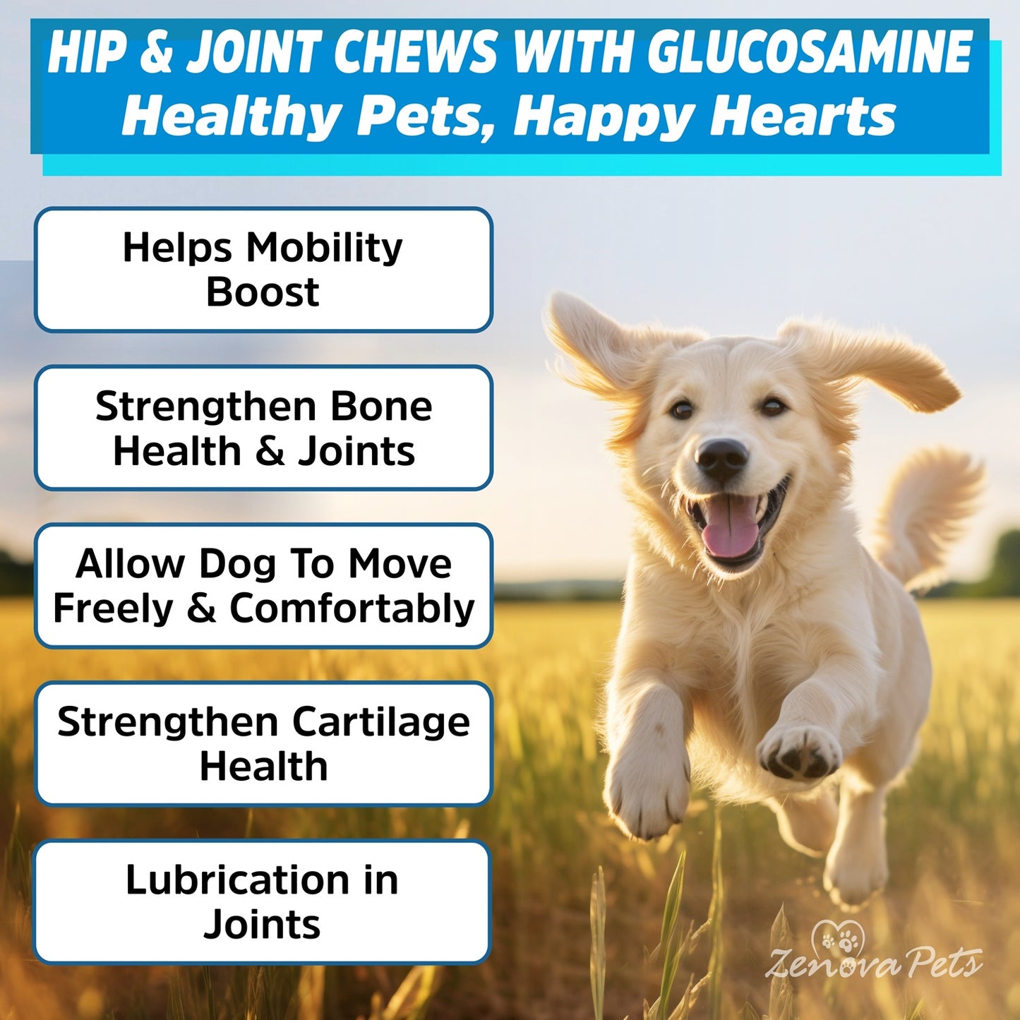 Hip & Joint Supplement for Dogs USA Made 160 Chews - Glucosamine & Chondroitin Promotes Mobility, Sooth Pain Relief