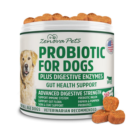 Dog Gut Health Probiotics With Digestive Enzymes USA MADE - 160 Chews Natural Digestive Care for Dog