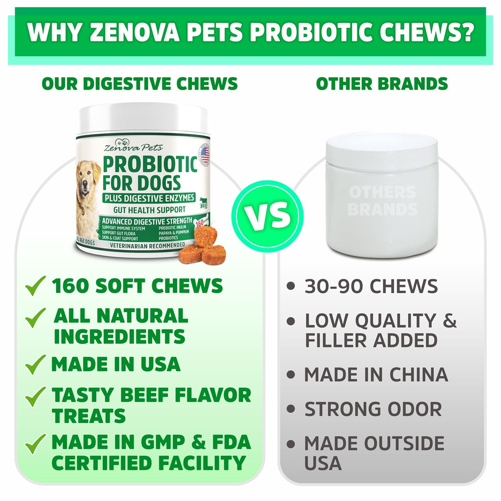 Dog Gut Health Probiotics With Digestive Enzymes USA MADE - 160 Chews Natural Digestive Care for Dog