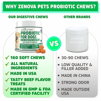 Dog Gut Health Probiotics With Digestive Enzymes USA MADE - 160 Chews Natural Digestive Care for Dog
