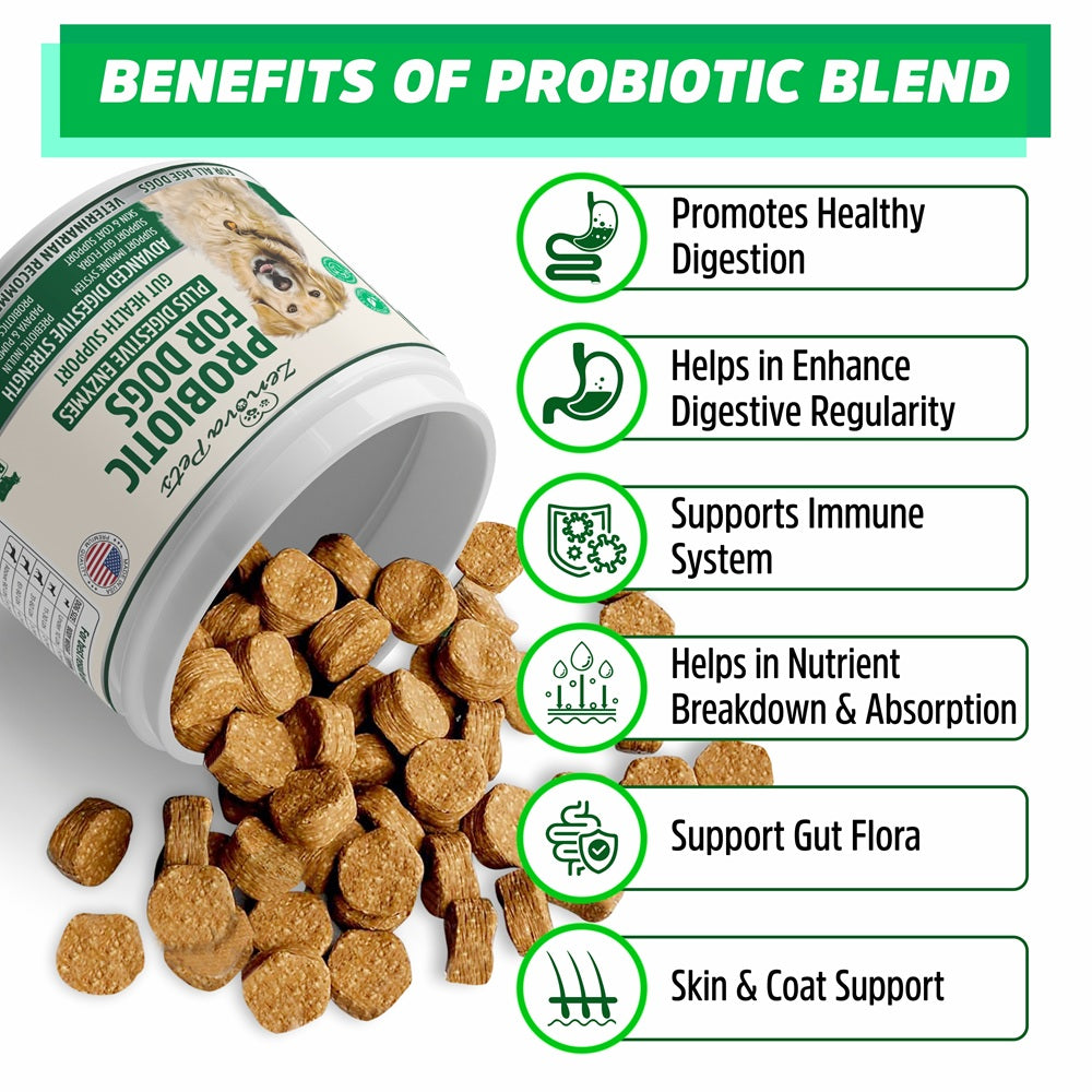 Dog Gut Health Probiotics With Digestive Enzymes USA MADE - 160 Chews Natural Digestive Care for Dog