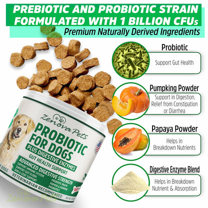 Dog Gut Health Probiotics With Digestive Enzymes USA MADE - 160 Chews Natural Digestive Care for Dog