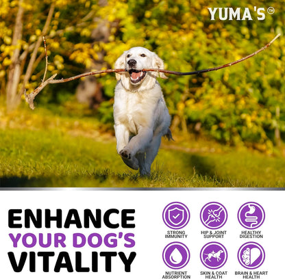 Dog Multivitamin Chewable with Glucosamine - Dog Vitamins and Supplements - 170 Treats - Senior & Puppy