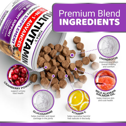 Dog Multivitamin Chewable with Glucosamine - Dog Vitamins and Supplements - 170 Treats - Senior & Puppy